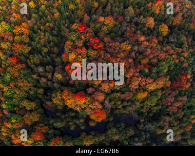 Une vue aérienne de couleurs d'automne au-dessus de la zone de conservation Albion Hills sur une chaude après-midi d'automne Banque D'Images