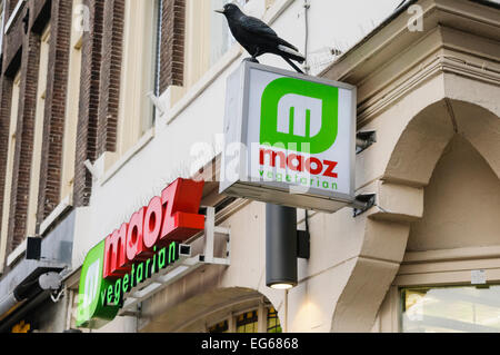 Végétarien Maoz, Damrak, Amsterdam. Une chaîne de restaurants rapides, falafel purement servant des plats végétariens. Banque D'Images