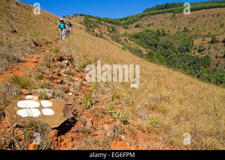 Les promeneurs sur le sentier de randonnée de prospecteur près de Pilgrim's Rest Banque D'Images