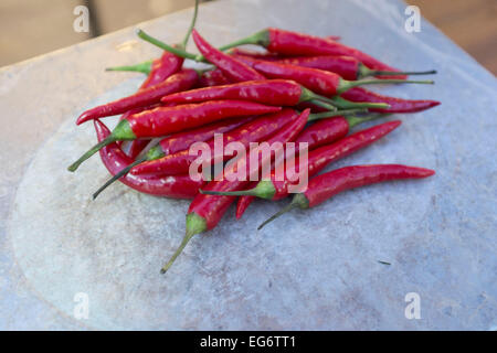 Des piments. Ce sont des poivrons de cayenne, également connu sous le nom de la Guinée d'épices, de poivre, de corne de vache-aleva, piment oiseau. Une variété assez chaud. Banque D'Images