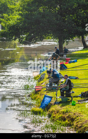 Concours de pêche sur la rivière Claise, sud-Touraine, France. Banque D'Images