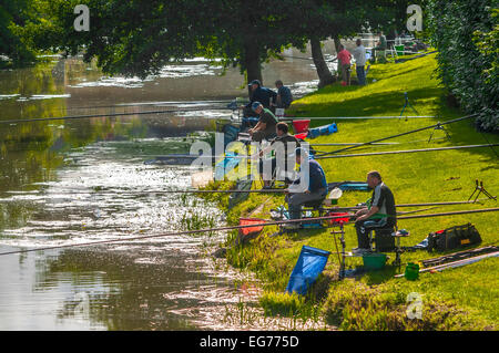 Concours de pêche sur la rivière Claise, sud-Touraine, France. Banque D'Images