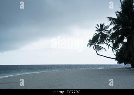 Maldives, Ari Atoll, vue de la mer agitée Banque D'Images