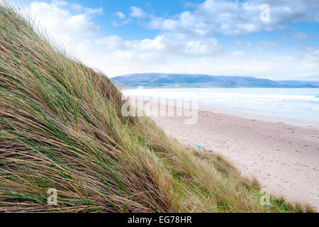 Avis de dunes à l'maharees une belle plage, dans le comté de Kerry Irlande Banque D'Images