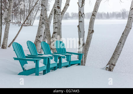 Chaises Adirondack en file d'attente comme si pour l'été le long des rives d'un lac dans la région de Central Michigan pendant un jour d'hiver glacial, USA Banque D'Images