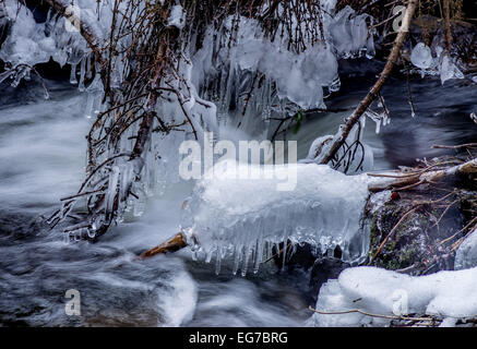 Les glaçons et la neige sur les brindilles dans l'eau vive Banque D'Images