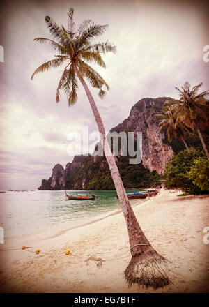 Stylisé rétro Vintage plage tropicale avec palmiers. Banque D'Images