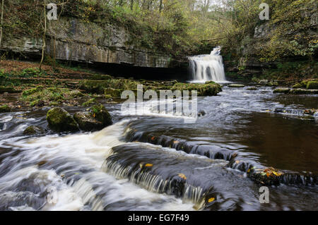 Cascades de West Burton ou chaudron tombe sur Walden Beck en automne. Le Yorkshire du nord, Yorkshire Dales National Park, England, UK Banque D'Images