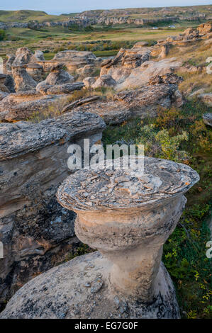 Rock Hoodoo, écrit sur de la pierre, parc provincial (aussi connu comme 'ÃÃ-sÃ-nai'pi' par la Nation des Pieds-Noirs) Alberta, Canada Banque D'Images