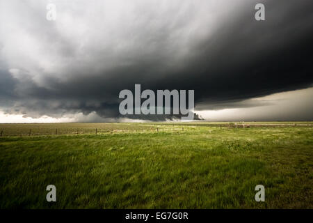 Une puissante tornade orage supercellulaires a mis en garde l'ensemble du paysage des rouleaux du Texas avec un grand mur de nuages et la grêle vert core Banque D'Images