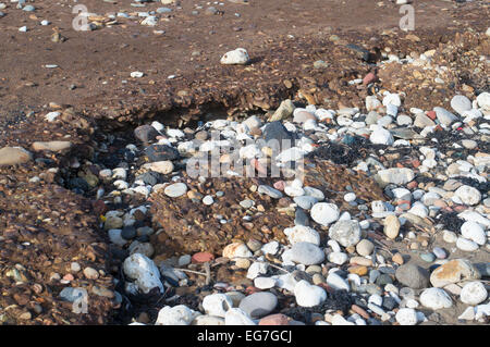 La plage de la mine de Blackhall montrant couche érodée de l'extraction du charbon, des déchets de la côte du comté de Durham, England, UK Banque D'Images