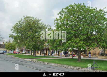 Vue de la rue principale bordée d'arbres dans le joli village des Cotswolds, Royaume-Uni de Broadway. Banque D'Images