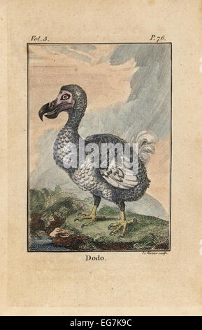 Raphus cucullatus, Dodo, oiseau disparu. Banque D'Images