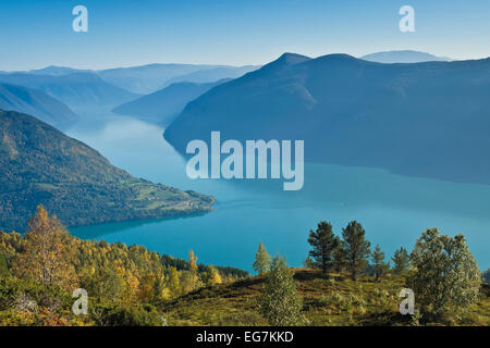 Vue depuis le mont Molden, sur le Lustrafjord, branche interne du Sognefjord, langue de terre d'Urnes, la plus ancienne église Norways Banque D'Images