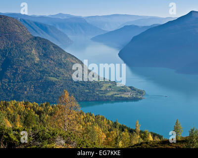 Vue depuis le mont Molden, Lustrafjord, branche interne du Sognefjord, langue de terre d'Urnes, la plus ancienne église Norways Banque D'Images