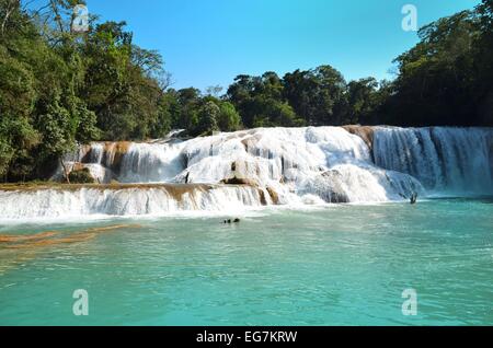 Waterfal Chiapas Mexique Agua Azul Banque D'Images