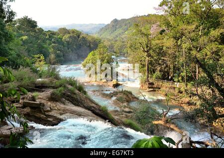 Waterfal Chiapas Mexique Agua Azul Banque D'Images