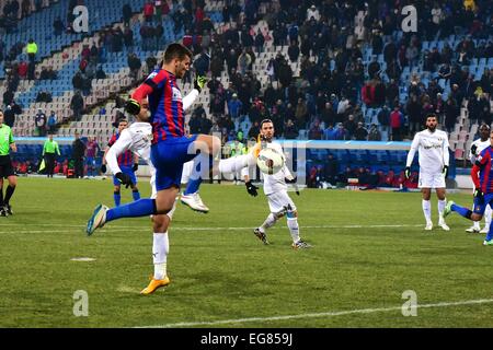 Stade Ghencea, Roumanie ROU. Feb 18, 2015. George Tucudean # 29 du Steaua Bucarest en action pendant la Ligue Roumanie Tasse jeu Adeplast entre Steaua Bucarest ROU et Astra Giurgiu ROU au stade Ghencea, Roumanie ROU. Catalin Soare/Cal Sport Media/Alamy Live News Banque D'Images