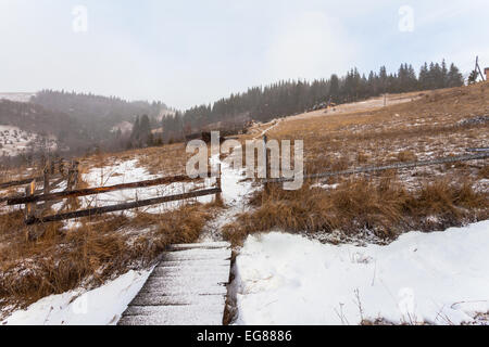 Tempête de la neige dans les Rocheuses. Banque D'Images