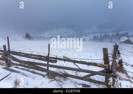 Tempête de la neige dans les Rocheuses. Banque D'Images