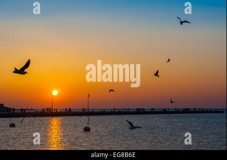 Trieste, Italie - Les gens marcher sur le Molo Audace pier au coucher du soleil avec vol de mouettes. Banque D'Images