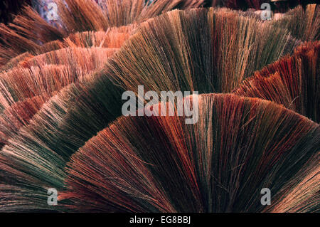 Les têtes de brosse de balayage dans un marché au Cambodge Banque D'Images