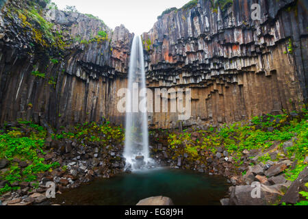 Cascade de Svartifoss. Le parc national de Skaftafell. L'Islande, de l'Europe Banque D'Images