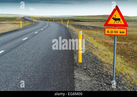 Signe du renne. L'Islande, l'Europe. Banque D'Images