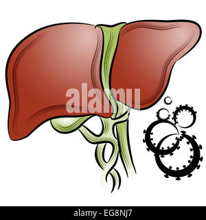 L'image d'un cancer du foie et des cellules. Banque D'Images