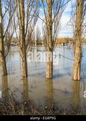 Inondations en lecture Banque D'Images