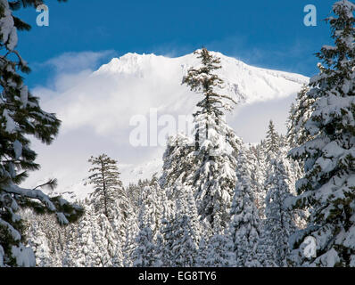 L'hiver au Mont Shasta, Californie. Banque D'Images