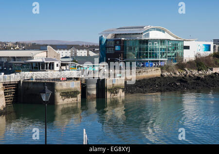 Plymouth Devon England UK National Marine Aquarium Banque D'Images