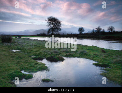 Piscine d'hiver avec de la glace, dans la lumière du matin sur le Mynydd Illtud commun dans le parc national de Brecon Beacons, le Pays de Galles Banque D'Images