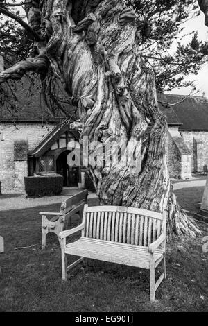 Église de St James Birdham Sussex Banque D'Images