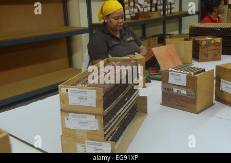 (150219) -- SANTIAGO, 10 févr. 19, 2015 (Xinhua) -- une femme packs cigares à une fabrique de cigares à l'exportation à Villa Gonzalez, province de Santiago, République dominicaine, le 19 février, 2015. Le tabac est le principal produit d'exportation agro-alimentaire en République dominicaine et de la province de Santiago mène sa production dans le pays. Les recettes d'exportation du tabac représentent les 7,5 pour cent du total des exportations de la République dominicaine, et les produits du tabac de faire participer les 8,5 pour cent des recettes fiscales provenant des taxes des marchandises. La ligne de production de tabac génère 110 000 emplois directs et soutient quelque 350 000 personnes, selon la République dominicaine Rep Banque D'Images