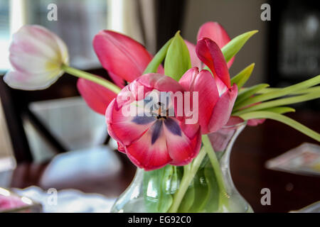 Bouquet de tulipes colorées dans un verre transparent sur une table de salle à manger. Banque D'Images