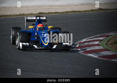 Montmelo, Catalogne, Espagne. Feb 19, 2015. FELIPE NASR (BRA) entraîne une Sauber pendant 01 jours d'avant-saison de Formule 1 essais au Circuit de Catalunya de Barcelone : Crédit Matthias Rickenbach/ZUMA/ZUMAPRESS.com/Alamy fil Live News Banque D'Images