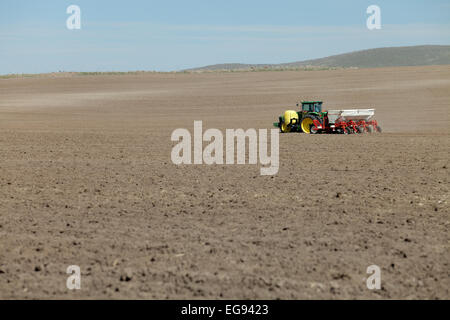 Un tracteur dans le domaine de la plantation de pommes de terre Banque D'Images