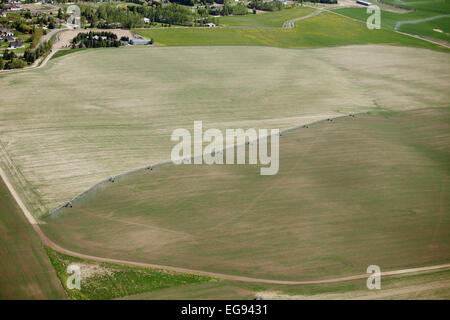Une vue aérienne des terres agricoles irriguées avec un système d'irrigation à pivot central Banque D'Images