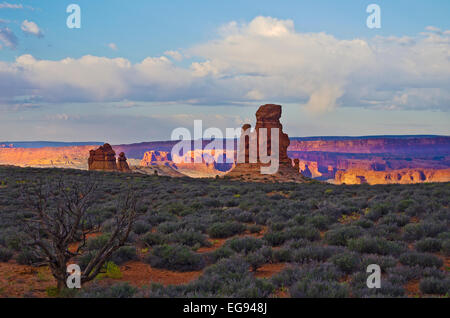 Parc National Arches dans l'aube la lumière. C'est une vue de la zone "muraille" de la région appelée 'Jardin d'Eden." Banque D'Images