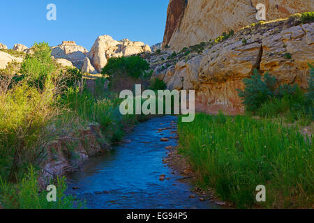 Ruisseau de soufre circulant dans Capital Reef National Park, Utah, United States. Banque D'Images