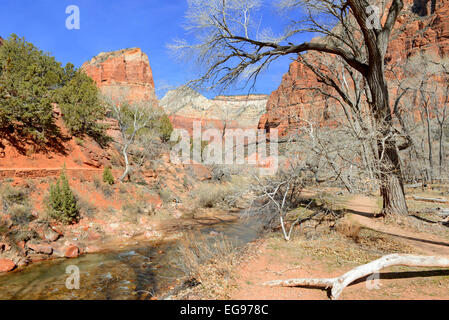 Red Rock mountain landscape in Zion National Park, Utah Banque D'Images