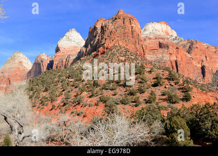 Red Rock mountain landscape in Zion National Park, Utah Banque D'Images