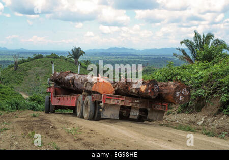 L'exploitation forestière de la forêt tropicale. Le transport par camion des feuillus couper dans une exploitation forestière sélective. Les journaux sont Santa Maria (à gauche) et l'acajou (c, r) Banque D'Images