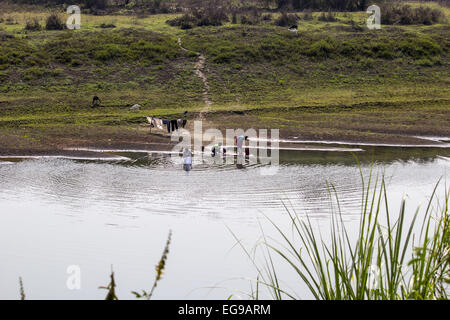 Sivasagar, Assam, Inde. Feb 20, 2015. Les femmes indiennes de chiffons de lavage en utilisant l'eau de Disang, un affluent du Brahmapoutre dans un village dans le nord-est du district de Sivasagar Assam state le 20 février. 2015. © Luit Chaliha/ZUMA/ZUMAPRESS.com/Alamy fil Live News Banque D'Images