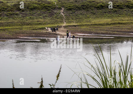 Sivasagar, Assam, Inde. Feb 20, 2015. Les femmes indiennes de chiffons de lavage en utilisant l'eau de Disang, un affluent du Brahmapoutre dans un village dans le nord-est du district de Sivasagar Assam state le 20 février. 2015. © Luit Chaliha/ZUMA/ZUMAPRESS.com/Alamy fil Live News Banque D'Images