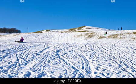 Une famille bénéficie de la luge sur une colline sur la Caldbeck fells, froide journée d'hiver ensoleillée, Lake District, Cumbria, Angleterre, Royaume-Uni Banque D'Images