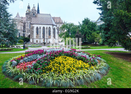 Automne nuageux ville de Kosice (Slovaquie) Paysage avec mauvais fleur à l'avant et la cathédrale Sainte-élisabeth (construit entre 1378 et 1508 Banque D'Images