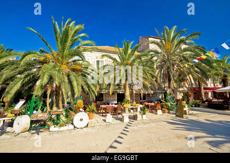 Ville de Stari Grad sur l'île de Hvar waterfront promenade palm view, Dalmatie, Croatie Banque D'Images