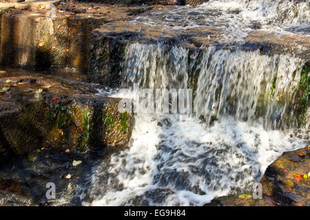 L'eau dans un ruisseau de mountain falls Banque D'Images